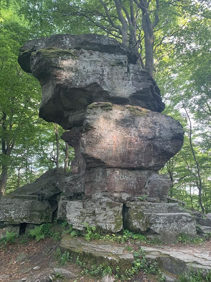 Хостелы Schronisko Górskie PTTK na Jaworzynie Krynickiej Крыница-Здруй-13